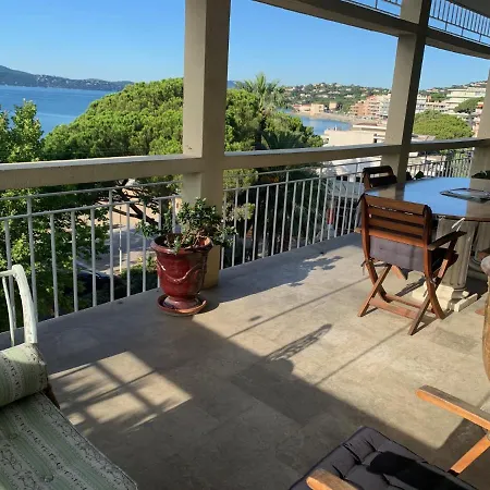 Les Lauriers Roses Apartment